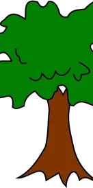 4. Albero del progetto