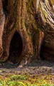 6. Struttura ad albero