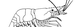 5. Pulsante Annulla